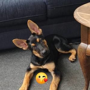 Meet your Posher, Chuck